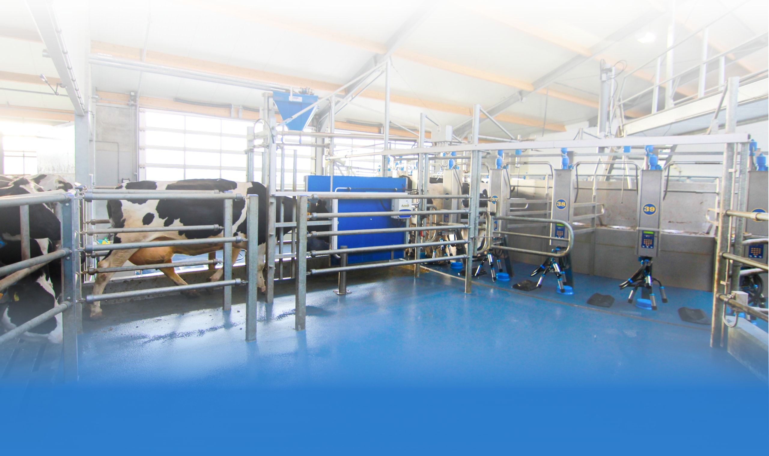 Dairy Master Rotary Revolver